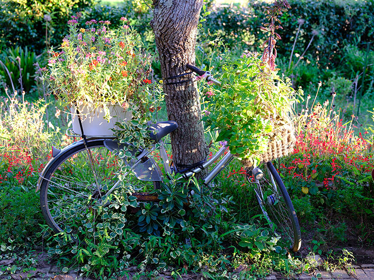 GF55mmF1.7 R WR作例（自転車）