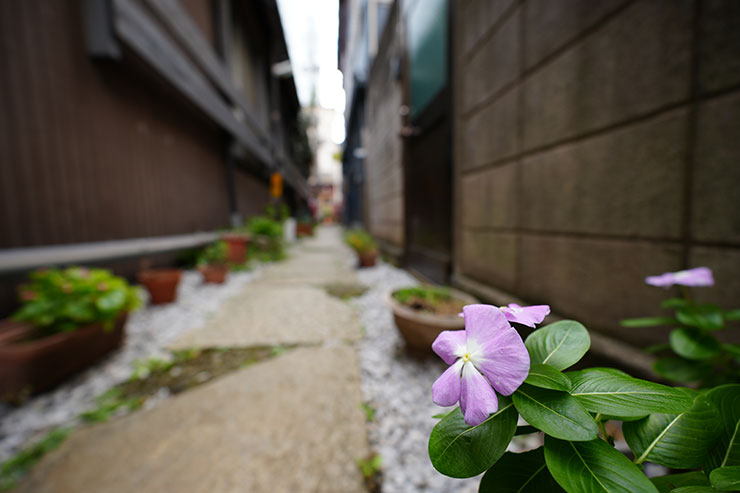 SIGMA 10-18mm F2.8 DC DN | Contemporary 作例（路地）