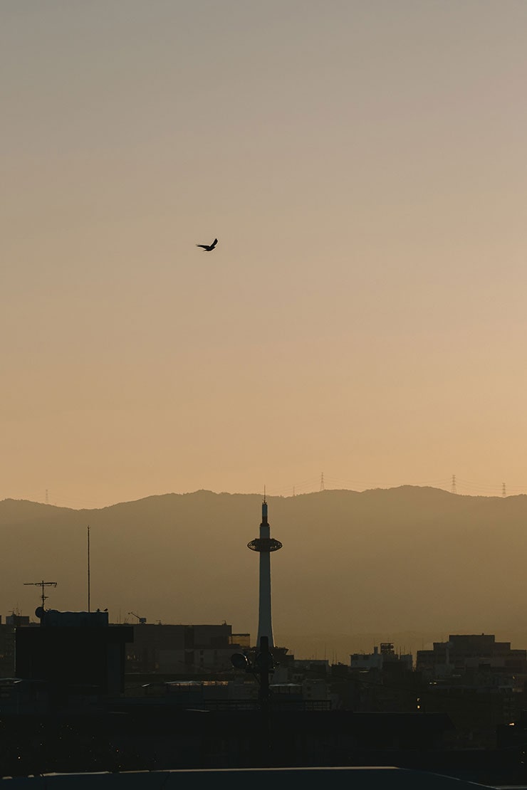 SIGMA 100-400mm F5-6.3 DG DN OS | Contemporary 富士フイルムX：作例（夕方の風景）