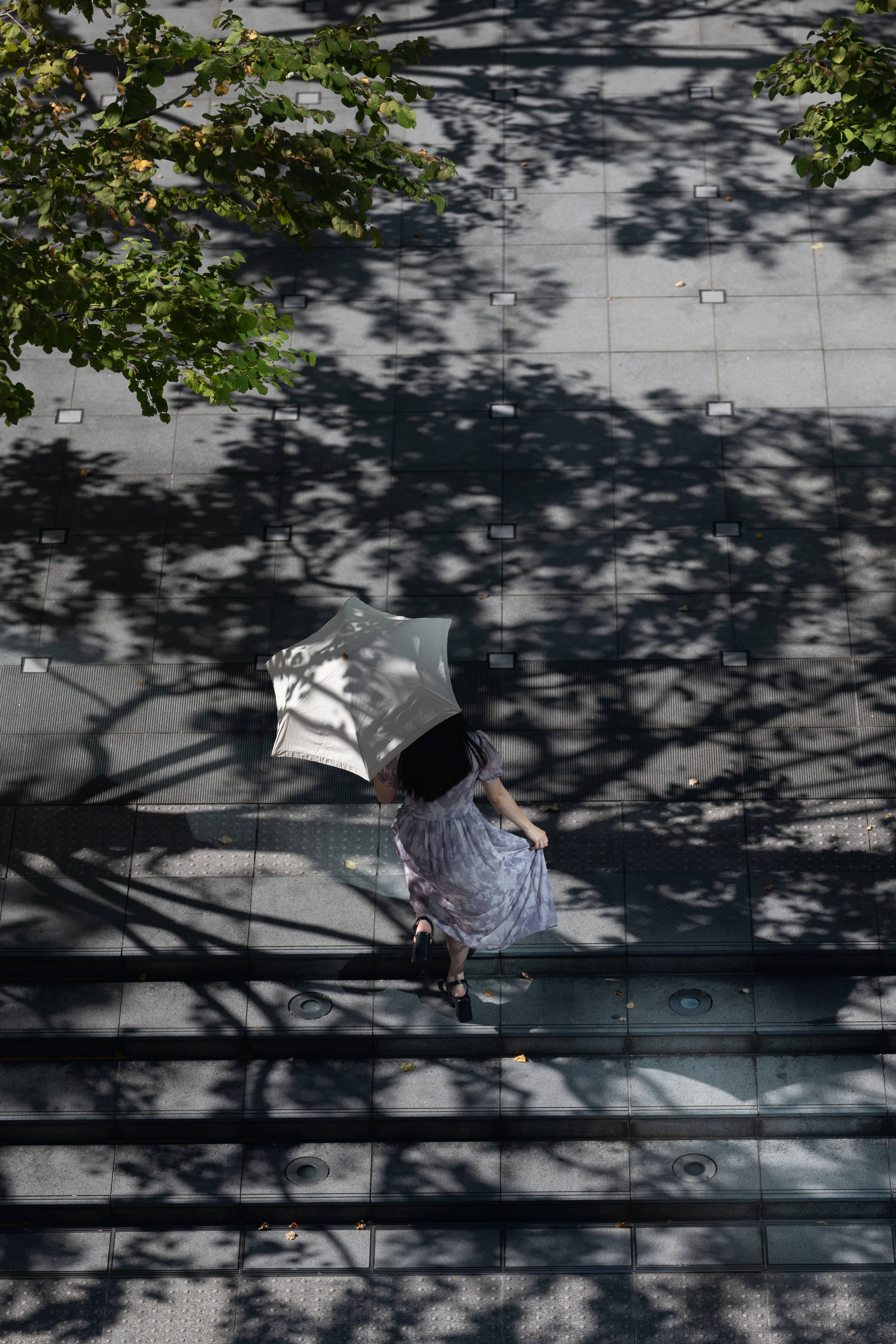 Nikon（ニコン） NIKKOR Z 135mm f/1.8 S Plena 実写レビュー × 熊切