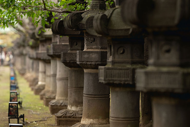 Nikon(ニコン) NIKKOR Z 135mm f/1.8 S Plena作例:絞りによる解像感比較F1.8