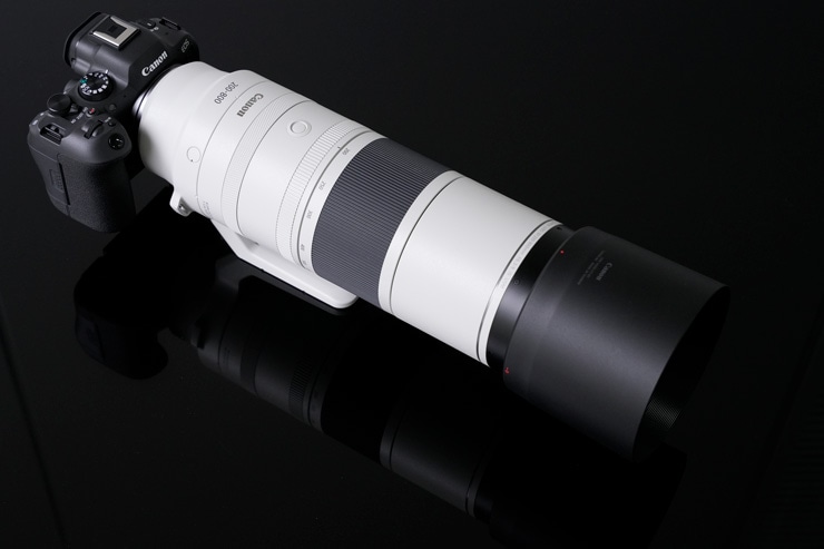 Canon RF200-800mm F6.3-9 実写レビュー
