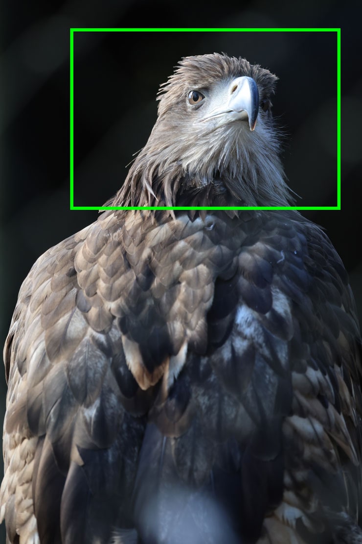 Canon RF200-800mm F6.3-9 解像感作例枠