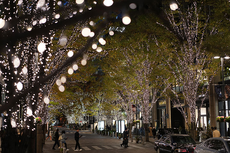 SONY α7C II 作例：イルミネーション