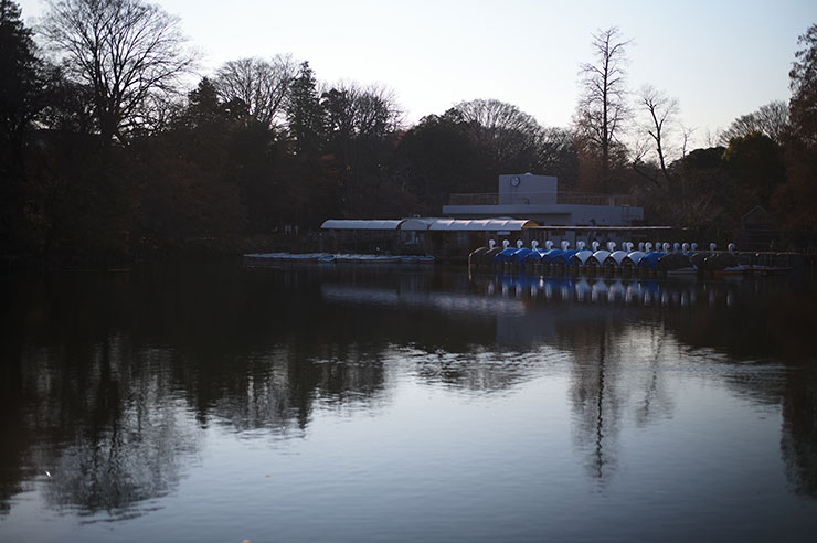 Leica M11-P作例公園