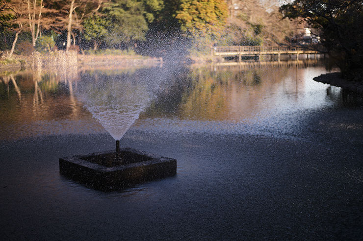 Leica M11-P作例噴水