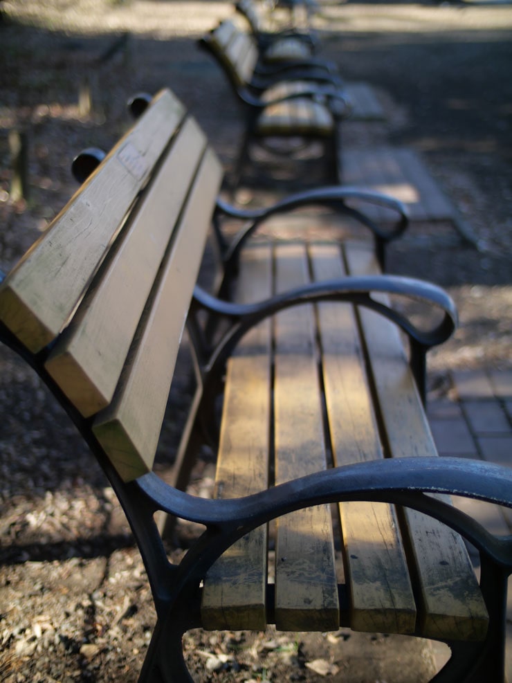 Panasonic DC-G100D作例：F0.9