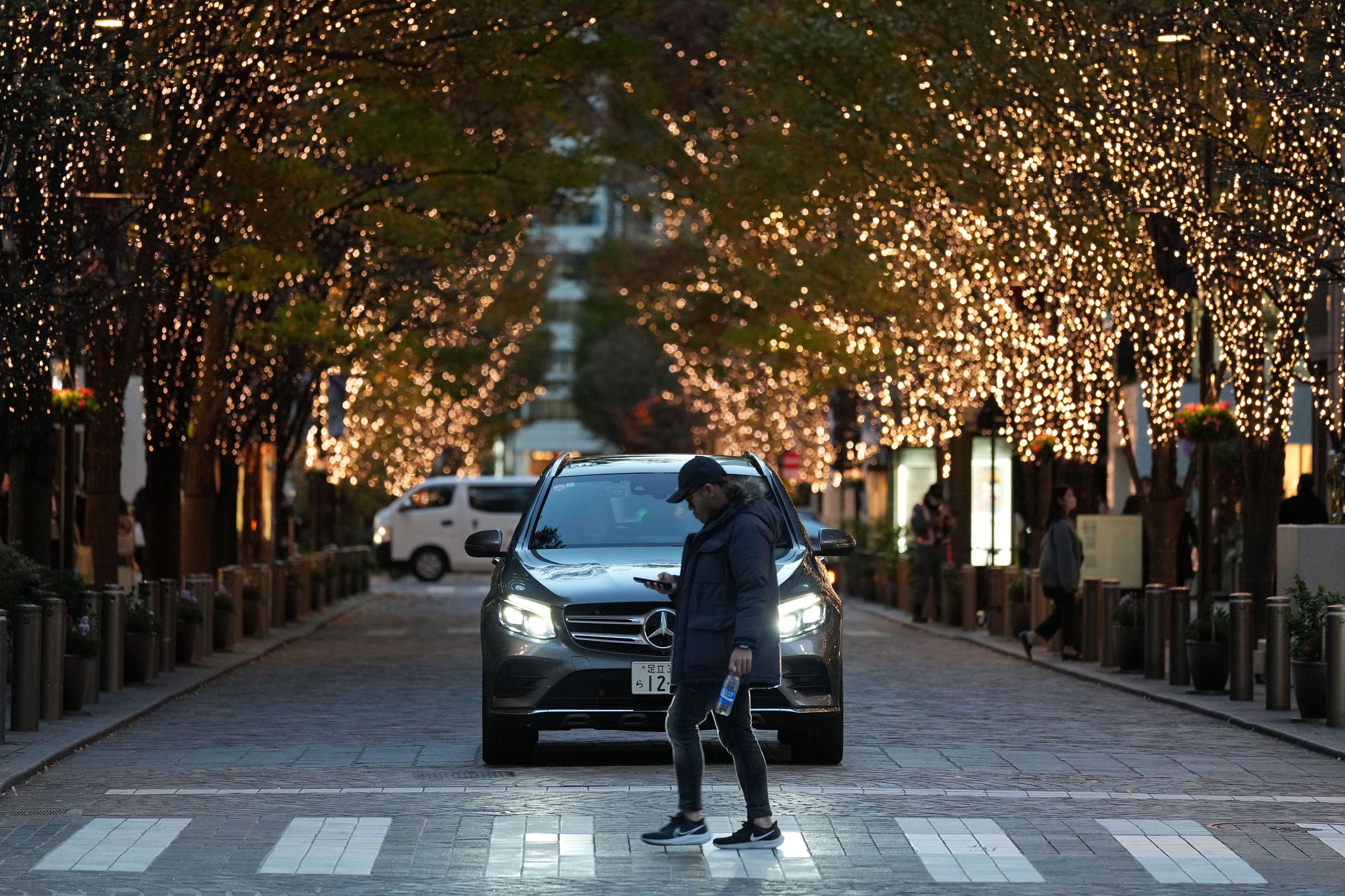 SONY FE 70-200mm F4 Macro G OSS II レビュー × 鹿野貴司｜高画素機の