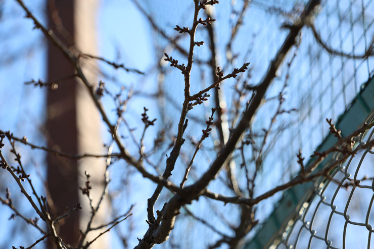 静止画スナップ作例4