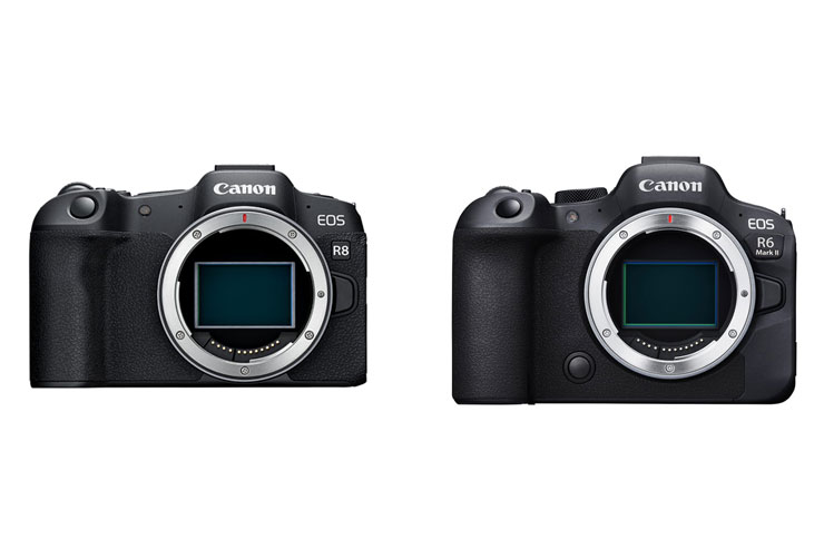 Canon EOS R8、EOS R6 MarkII