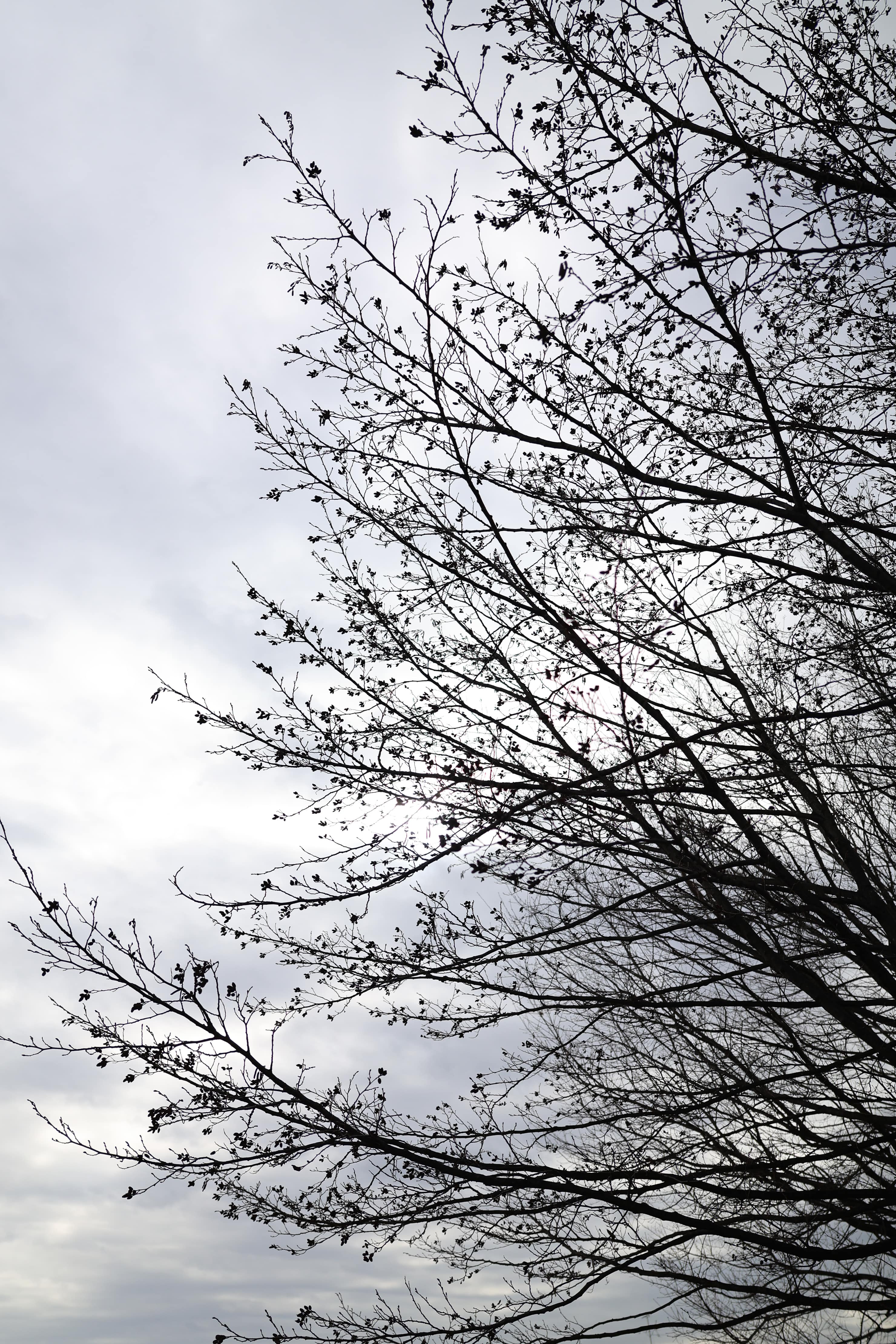 Canon RF28mm F2.8 STM実写レビュー Canon RF28mm F2.8 STM実写レビュー