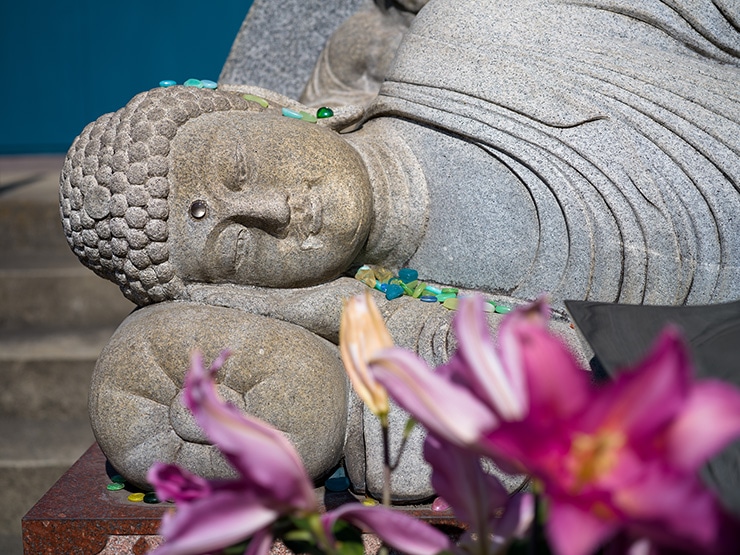 ハッセルブラッド 907X & CFV 100C、XCD 2.8/65mm 作例：仏像