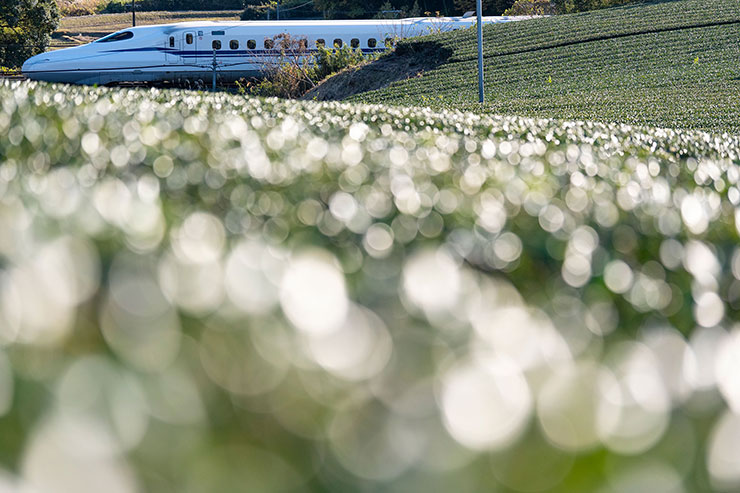 SONY α9 III プリ撮影作例