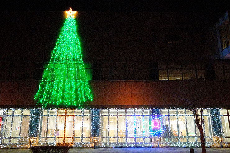 SONY α9 III ISO25600作例：通常