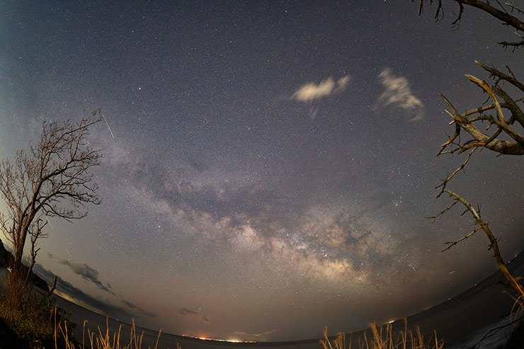 SIGMA 15mm F1.4 DG DN DIAGONAL FISHEYE | Art 作例：枯れ木と天の川