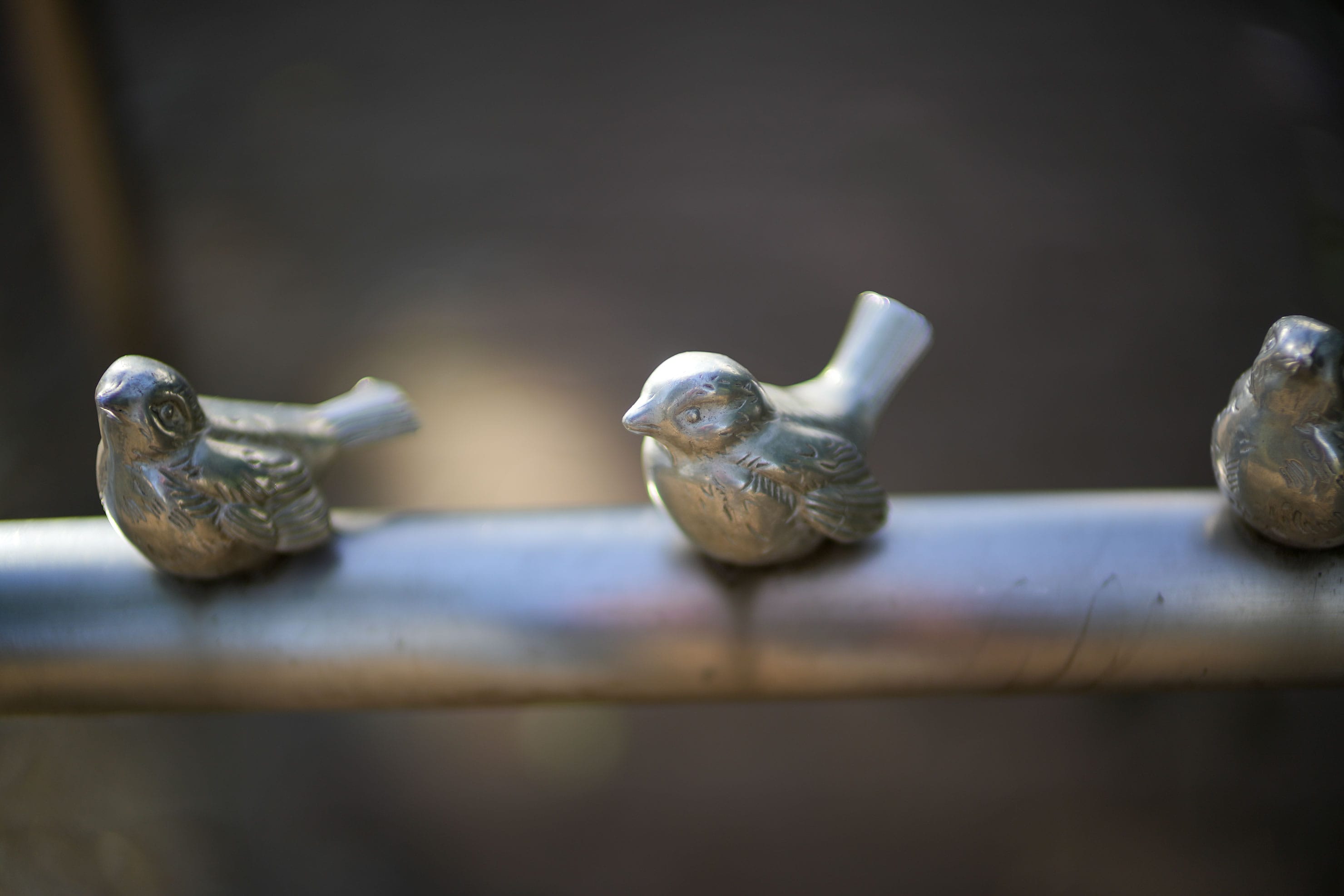 フォクトレンダー NOKTON 50mm F1 Aspherical E-mount × 赤城耕一