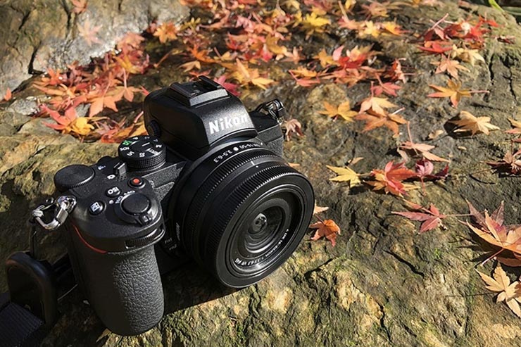 Nikon Z50 実写レビューイメージ