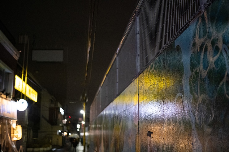 SIGMA fp 作例：高感度撮影(ISO12800)