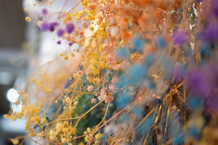 SIGMA fp ボケ感の作例：ドライフラワー