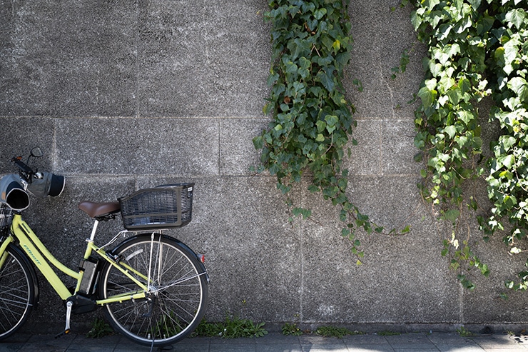 SIGMA fp 解像度の作例：植物とコンコンクリート