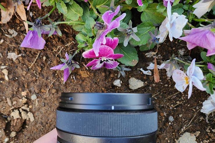 Panasonic LUMIX S 28-200mm F4-7.1 MACRO O.I.S. 実写レビュー Panasonic LUMIX S 28-200mm F4-7.1 MACRO O.I.S. 実写レビュー