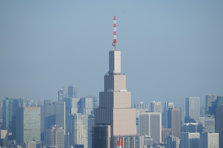 Lumix S1+LUMIX S 28-200mm F4-7.1 MACRO O.I.S.で撮って出し撮影