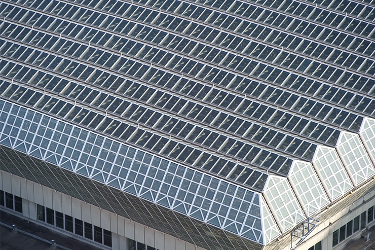 Sigma fpL+LUMIX S 28-200mm F4-7.1 MACRO O.I.S.