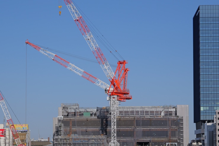 LUMIX S 28-200mm F4-7.1 MACRO O.I.S.作例 中心部解像 拡大 28mm