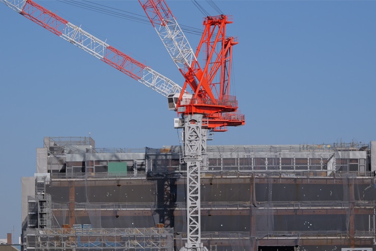 LUMIX S 28-200mm F4-7.1 MACRO O.I.S.作例 中心部解像 拡大 50mm