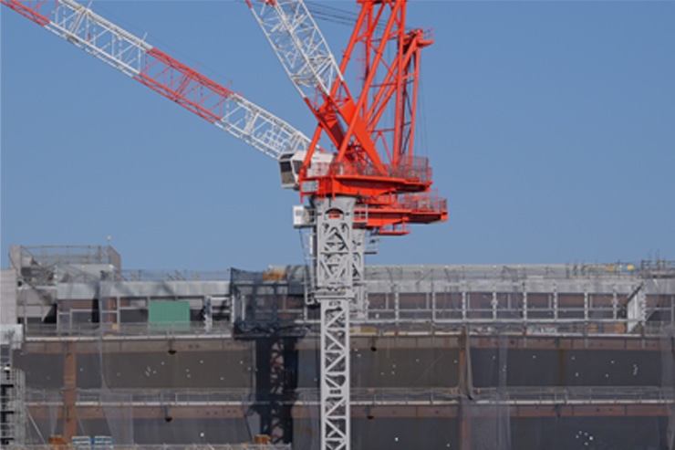 LUMIX S 28-200mm F4-7.1 MACRO O.I.S.作例 中心部解像 拡大 100mm