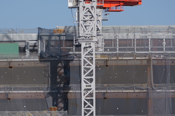 LUMIX S 28-200mm F4-7.1 MACRO O.I.S.作例 中心部解像 拡大 200mm