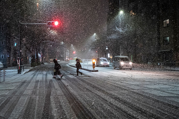 Leica M10 作例：雪