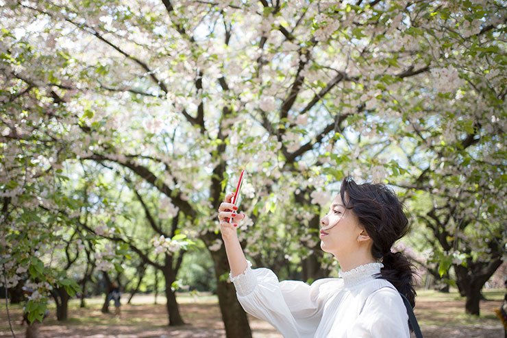 Leica M10 作例：桜と人物