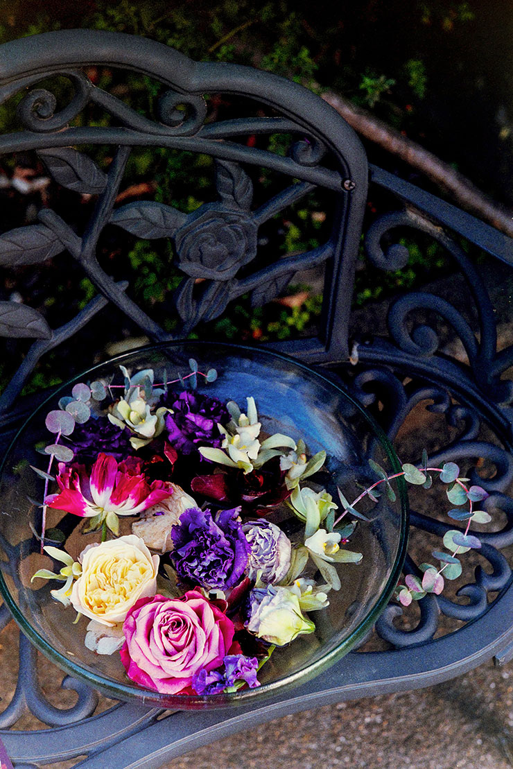 Leica M3 作例：花