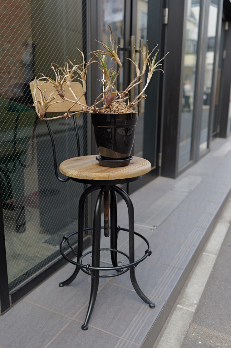 Leica SL3 作例・植木