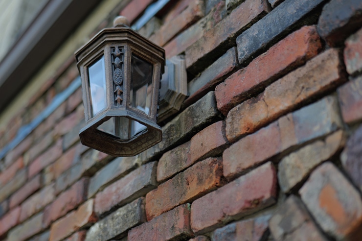 Leica SL3 作例・植木