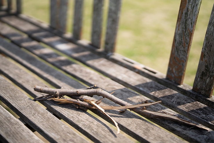 SIGMA 50mm F1.2 DG DN | Art の作例：色収差