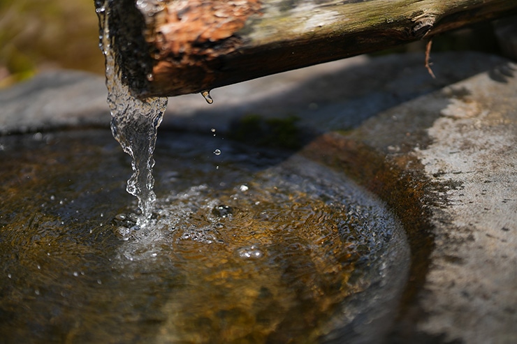 SIGMA 50mm F1.2 DG DN | Art の作例：水しぶき