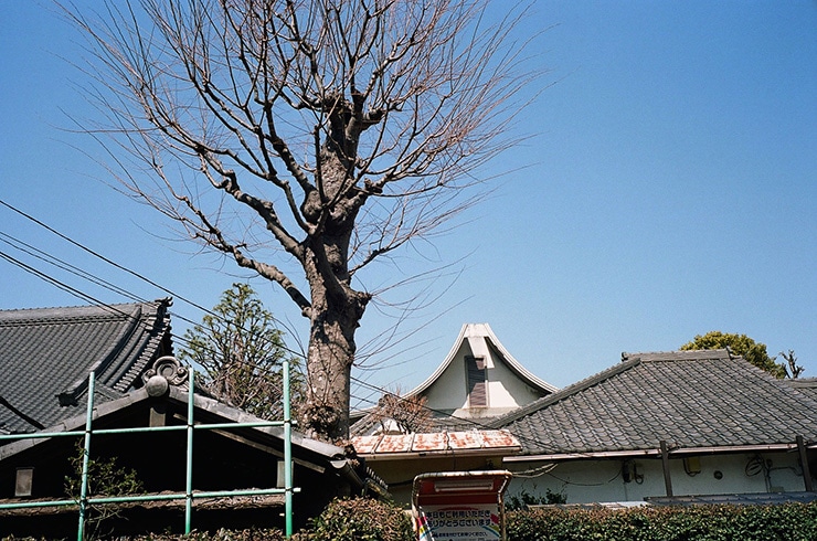 Leica M6 作例：KODAK PORTRA160で撮影した民家と空