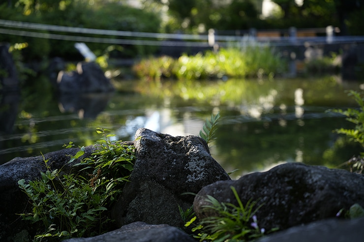 SIGMA 24-70mm F2.8 DG DN II | Art作例 池