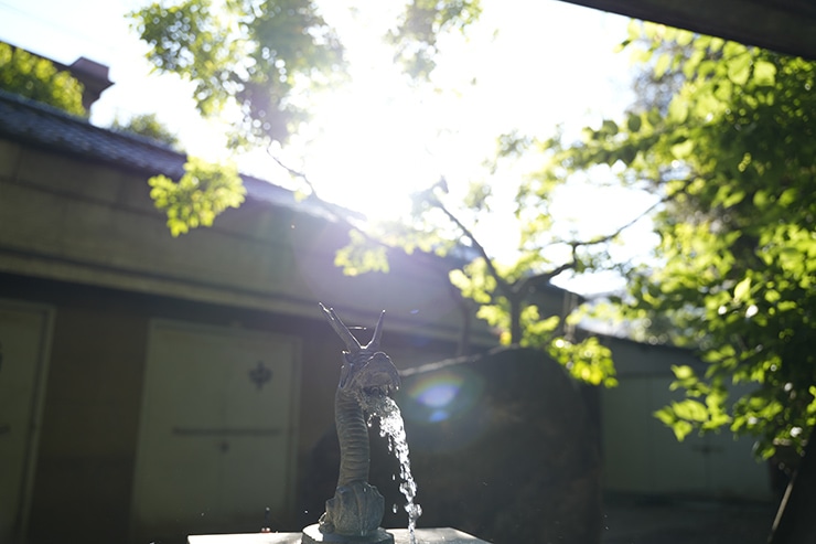 SIGMA 24-70mm F2.8 DG DN II | Art フレアゴースト作例
