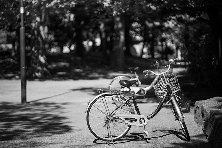 NOKTON 75mm F1.5 Aspherical Z-mount 作例：公園と自転車