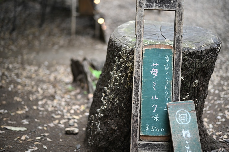 NOKTON 75mm F1.5 Aspherical Z-mount 作例：切り株と看板