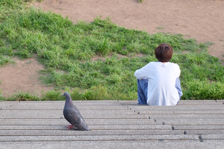 X-T50 作例：鳩と人