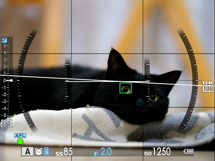 GFX100S II 本体：動物瞳AFのモニター画面