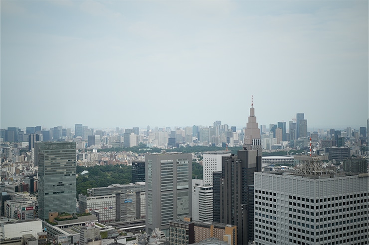 SIGMA 28-45mm F1.8 DG DN | Art  作例 新宿都庁より