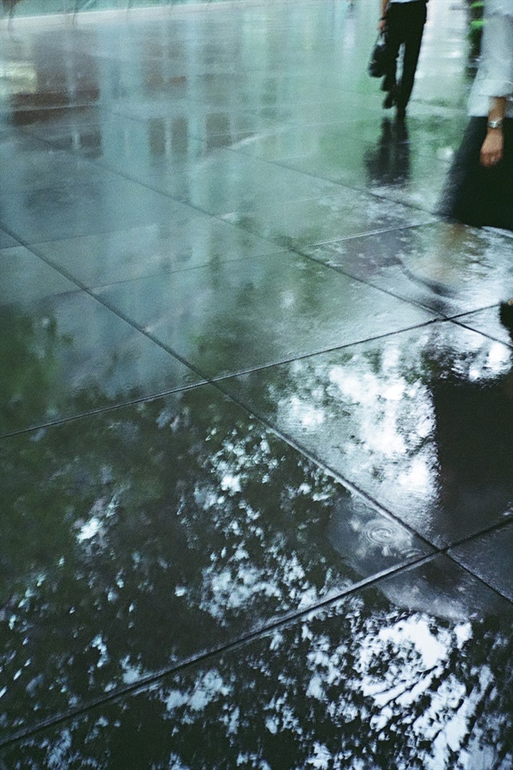 PENTAX 17 作例：雨に濡れた地面