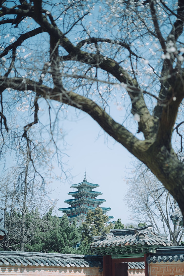 Leica M10-P 作例：仏塔