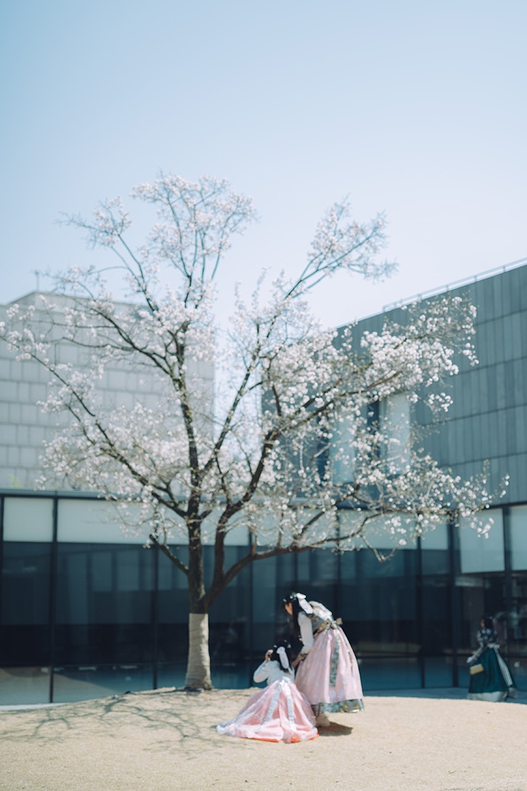 Leica M10-P 作例：チマチョゴリを着た女性