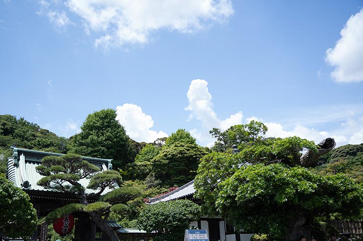 PLフィルターを装着せずに撮影した空の画像